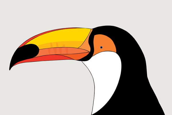 Toco Toucan
