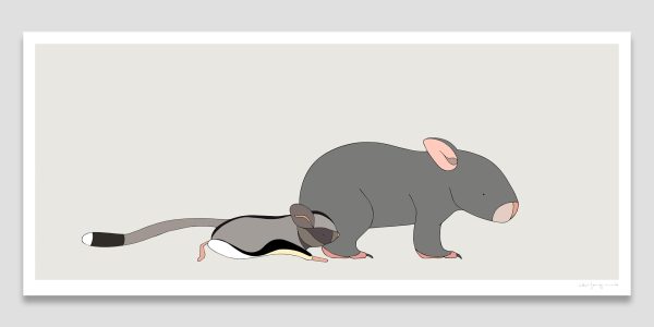 Bare-nosed Wombat and Sugar Glider