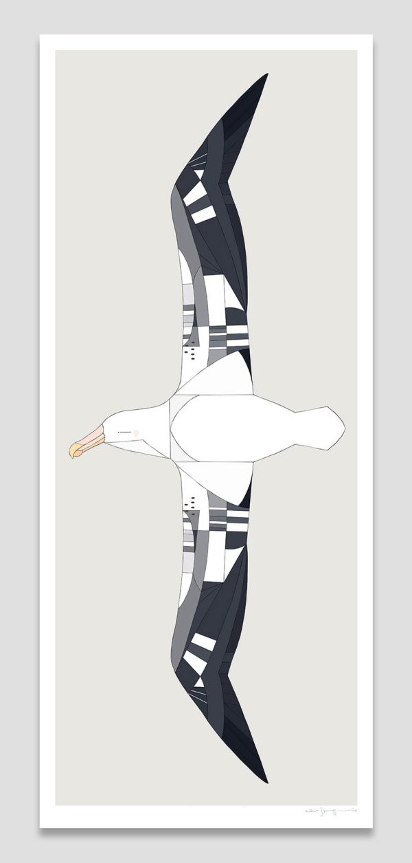 Wandering Albatross