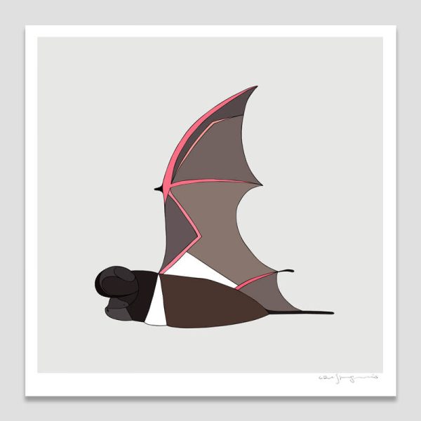 White-striped Freetail Bat