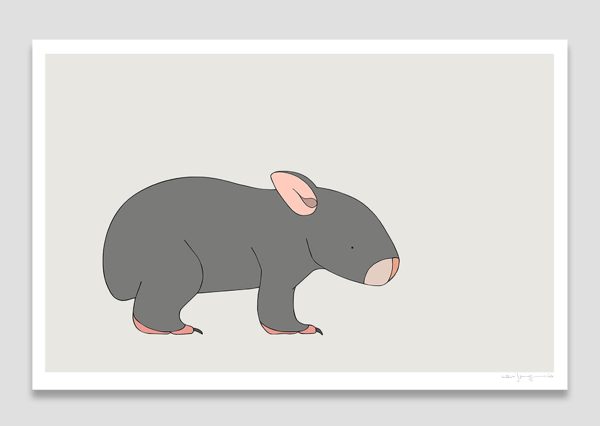 Bare-nosed Wombat Joey