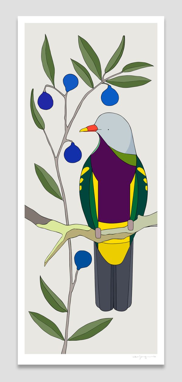 Wompoo Fruit-Dove and Blue Quandong