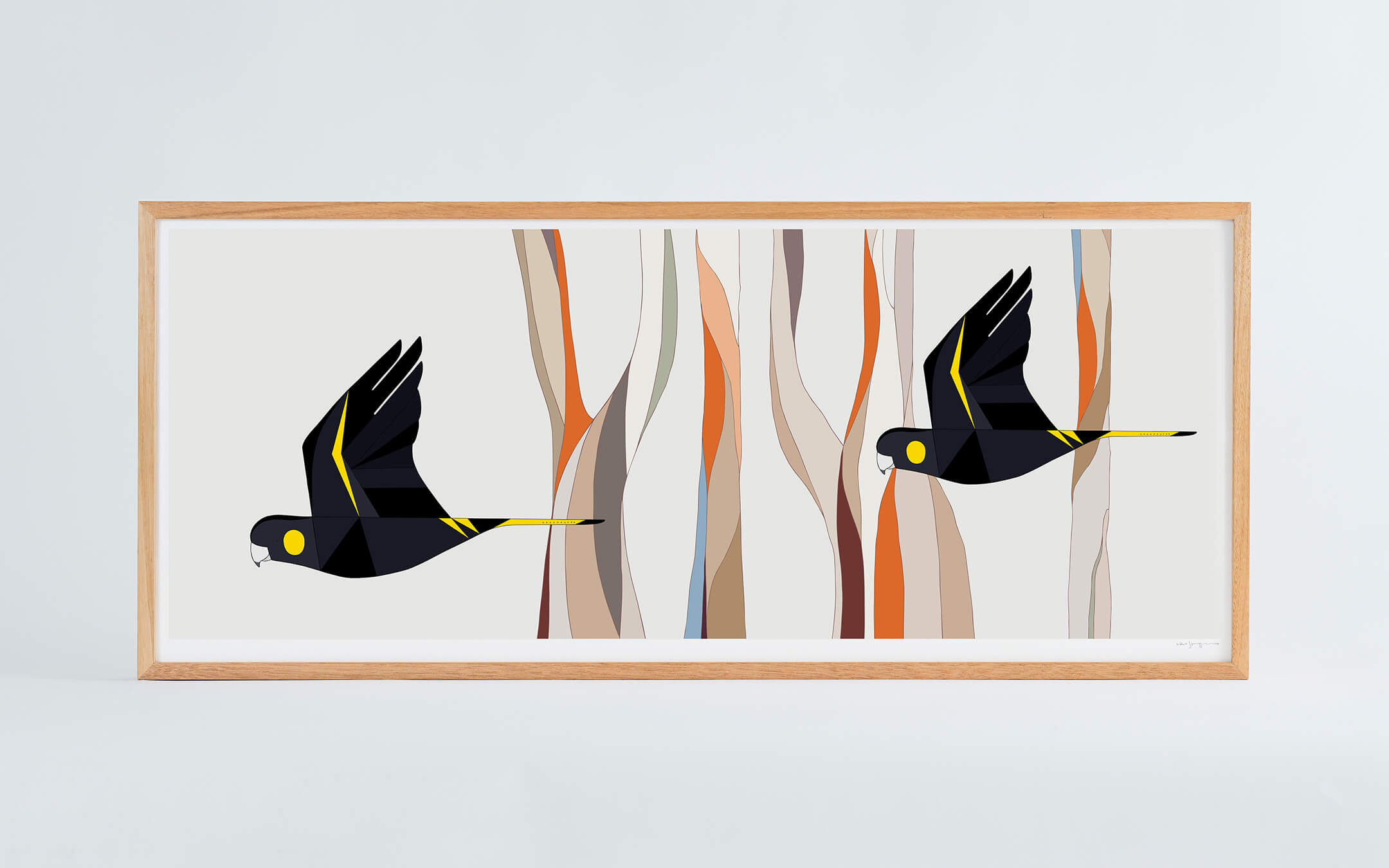 Yellow-tailed Black-Cockatoos and Brittle Gums