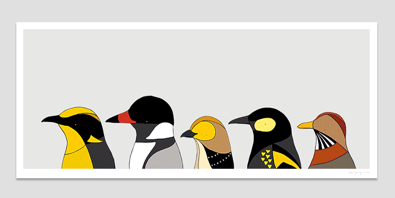 Create your flock