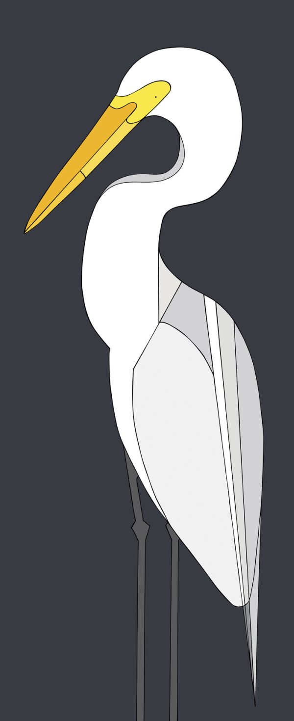 Great Egret