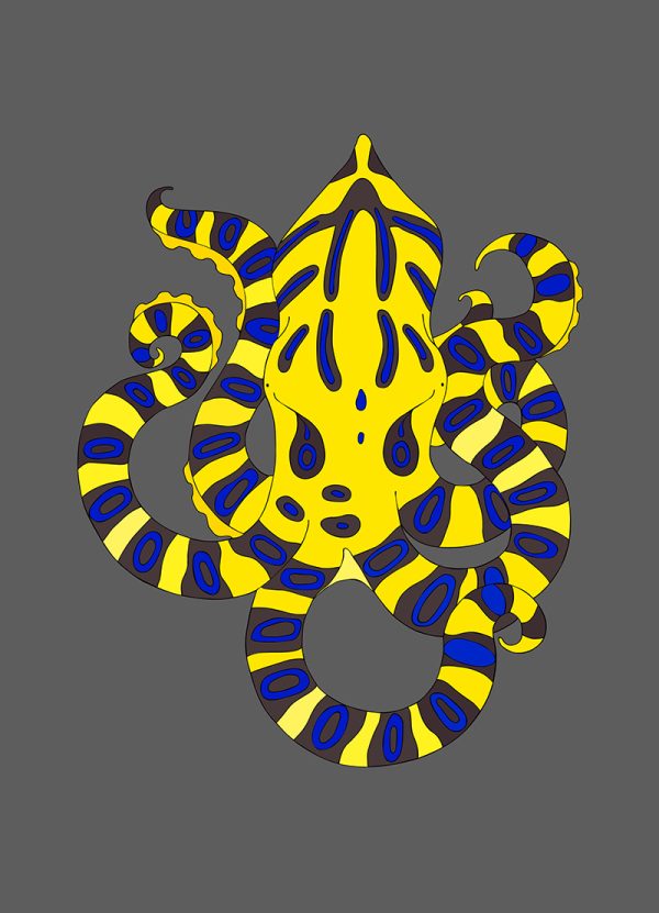 Blue-ringed Octopus
