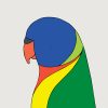 Rainbow Lorikeet