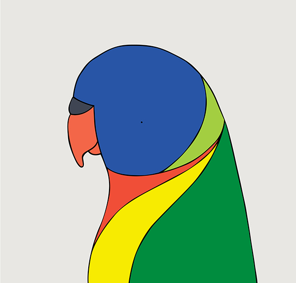 Rainbow Lorikeet