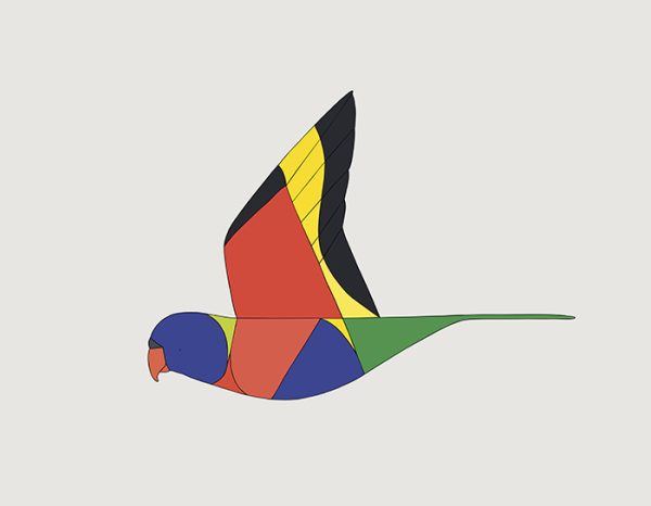 Rainbow Lorikeet In Flight
