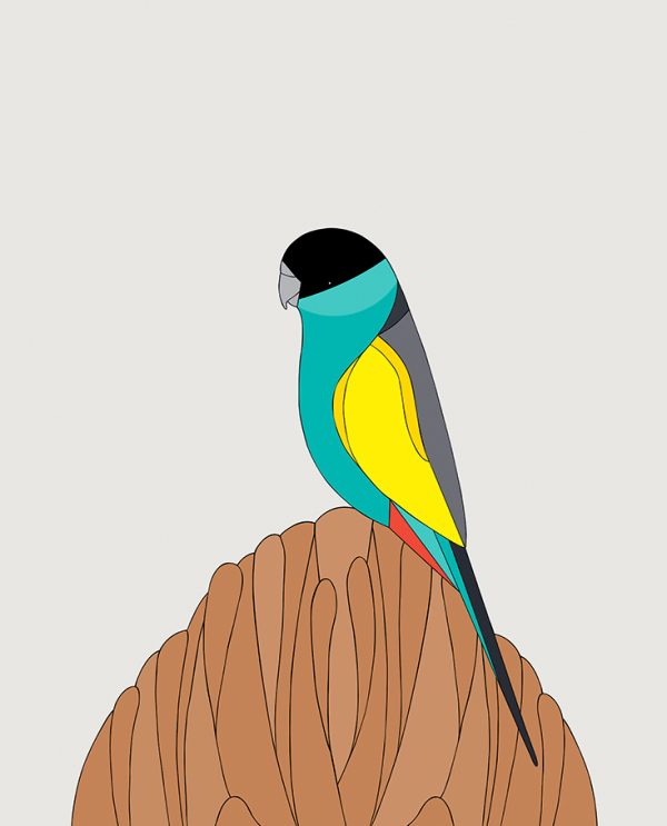 Hooded Parrot & Termite Mound