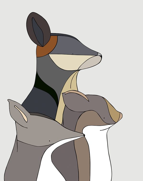 Marsupials of Australia III
