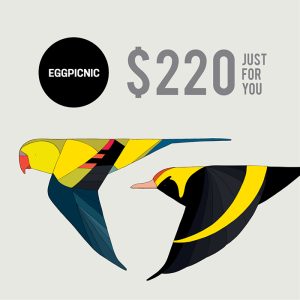 $220 e-gift card
