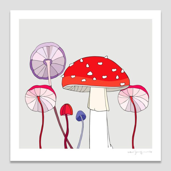 Fungi I