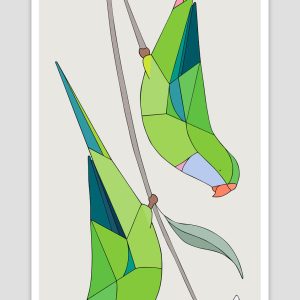 Superb Parrots