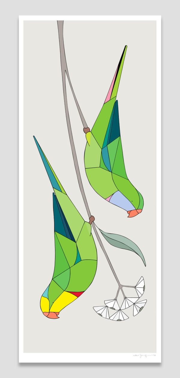 Superb Parrots