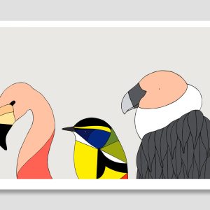Birds of Chile II