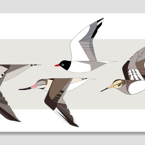 Migratory birds of the world in flight