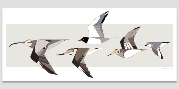 Migratory birds of the world in flight