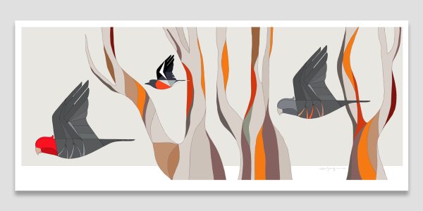 Gang-gang Cockatoos, Flame Robin & Snow Gums