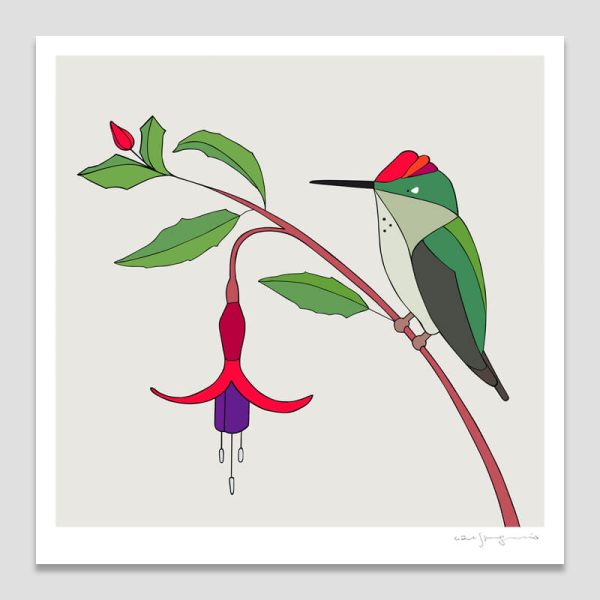 Green-backed Firecrown and Fuchsia Magellanica