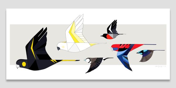 Birds of the Arboretum in flight