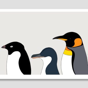 Penguins of the World II