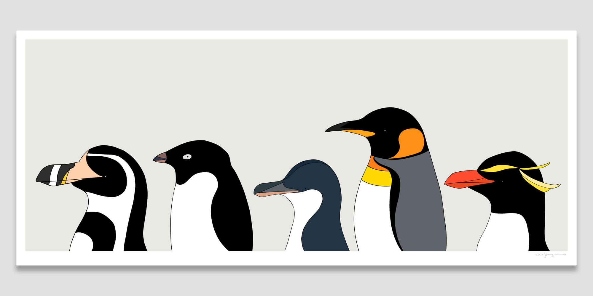 Penguins of the World II