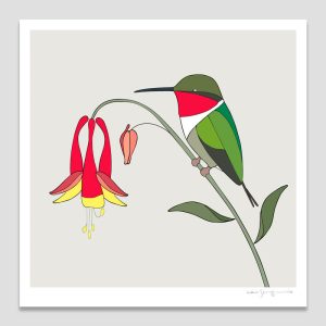 Ruby-throated Hummingbird and Wild Columbine
