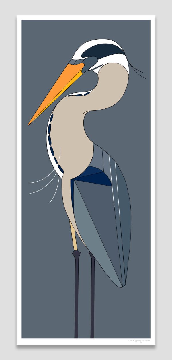 Great Blue Heron
