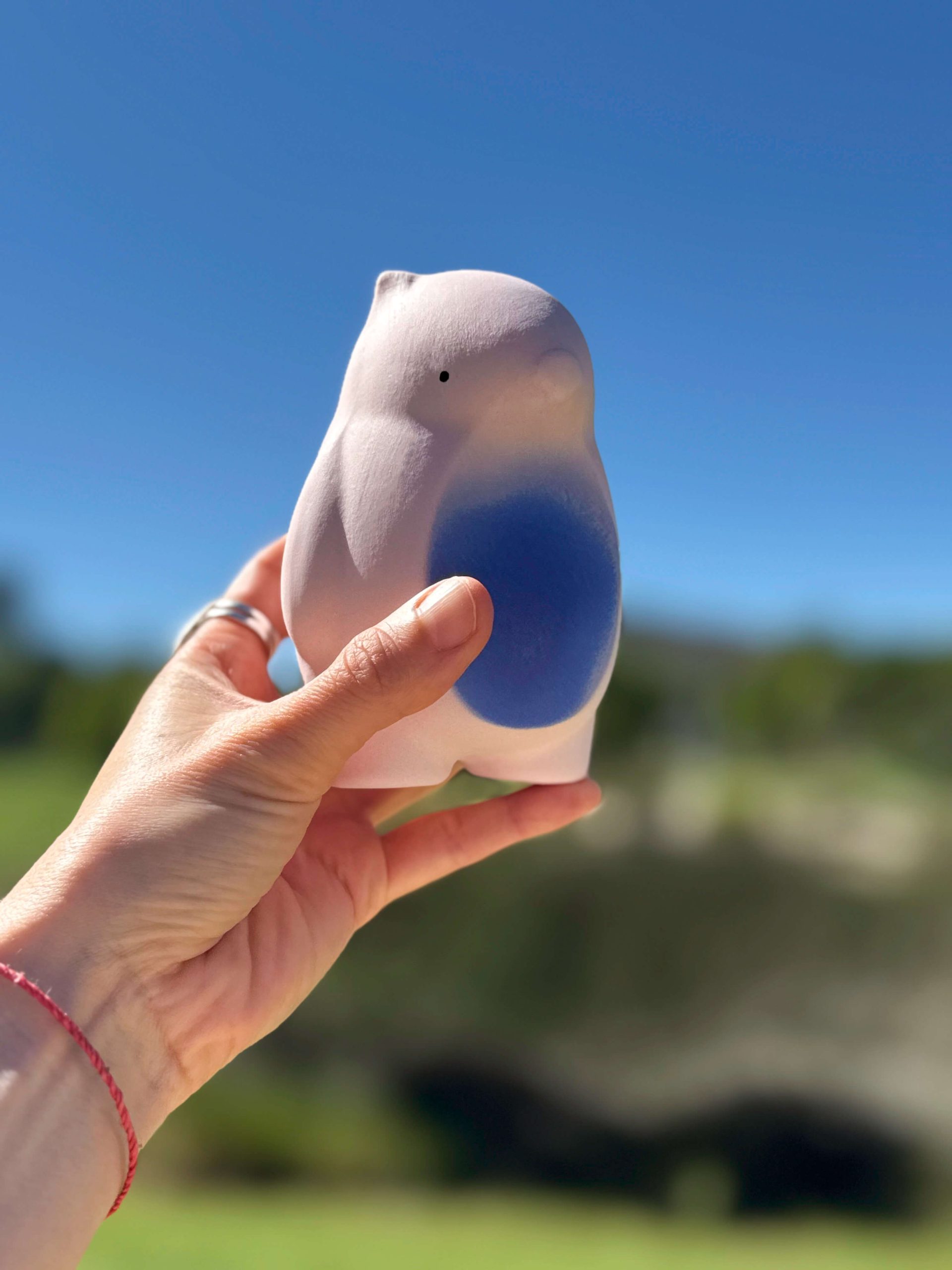 Bare-nosed Wombat (Pink with dreamy belly) - Image 3