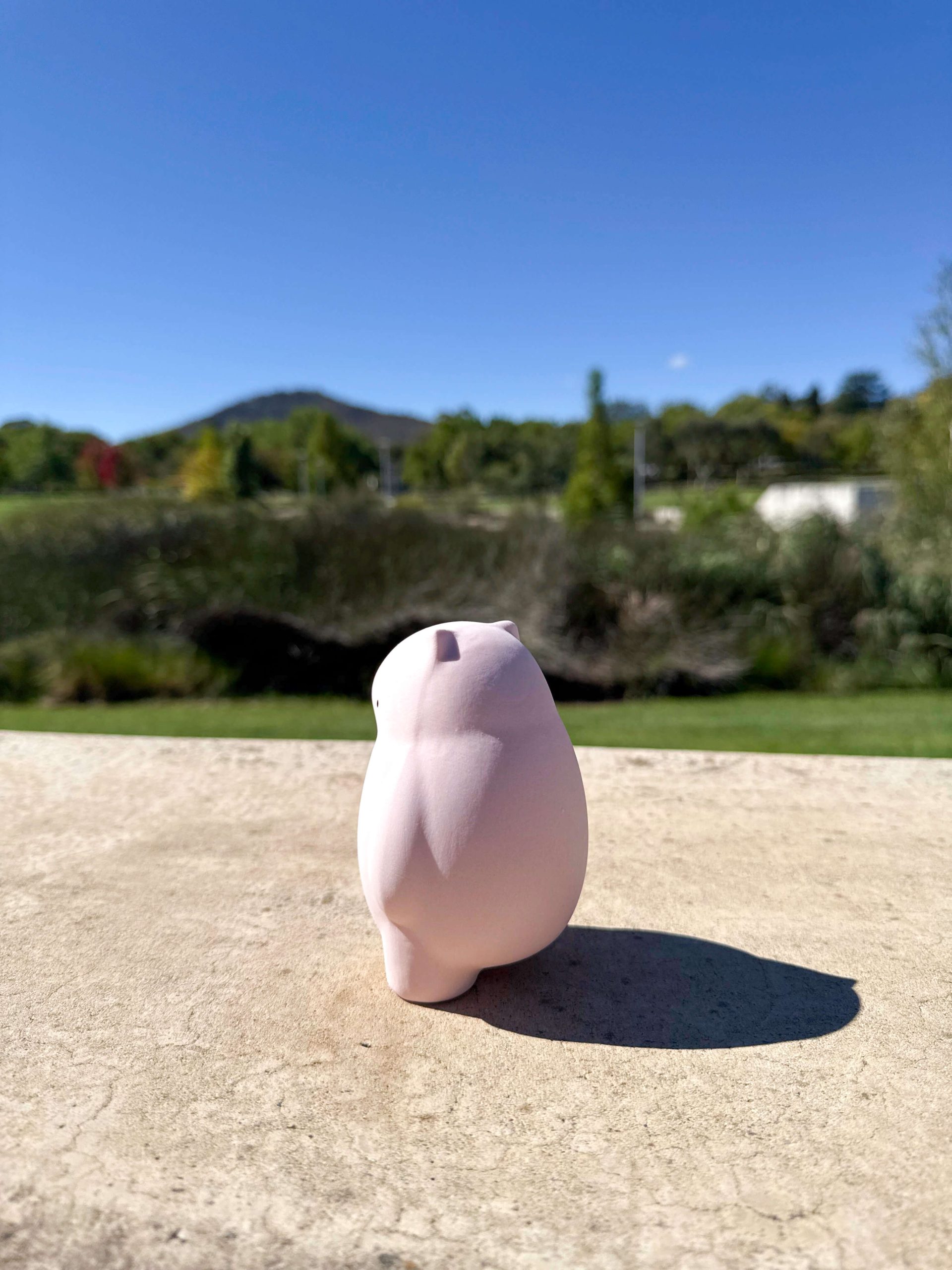 Bare-nosed Wombat (Pink with dreamy belly) - Image 2