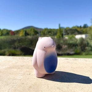 Bare-nosed Wombat (Pink with dreamy belly)