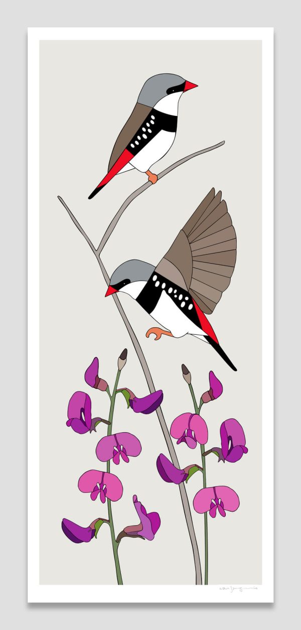 Diamond Firetails and Small Purple Pea