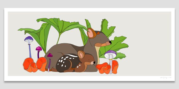 Pudú, Pangue, Cortinarius magellanicus and Orange peel fungus