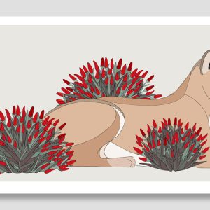 Puma and Mata Guanaco