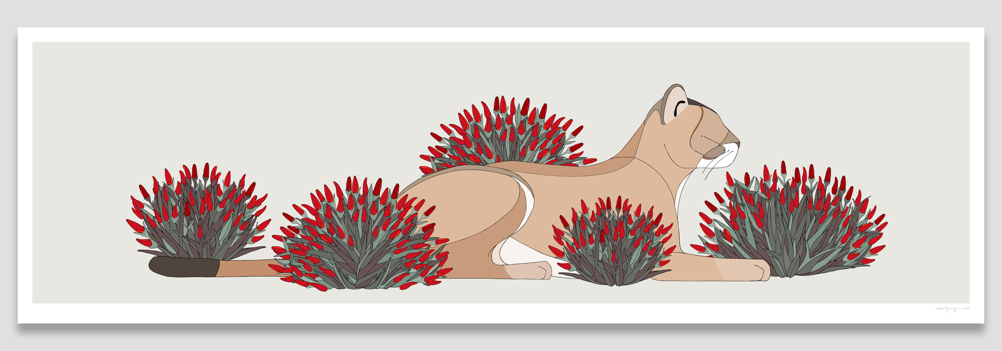 Puma and Mata Guanaco
