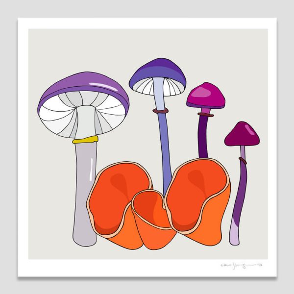 Fungi II Fungi II