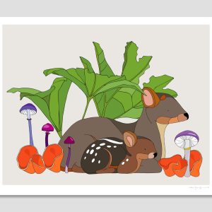 Pudú, Pangue, Cortinarius magellanicus and Orange peel fungus
