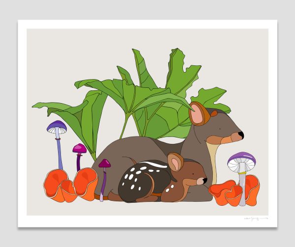 Pudú, Pangue, Cortinarius magellanicus and Orange peel fungus