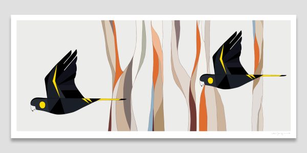 Yellow-tailed Black-Cockatoos and Brittle Gums Yellow-tailed Black-Cockatoos and Brittle Gums