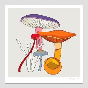 Fungi III