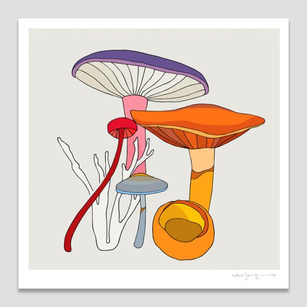 Fungi III