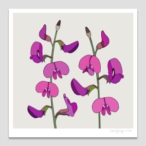 Small Purple Pea