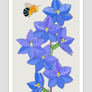 Spotted Sun Orchid and Blue-banded Bee